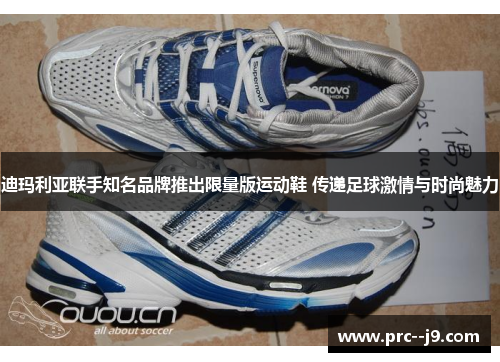 迪玛利亚联手知名品牌推出限量版运动鞋 传递足球激情与时尚魅力