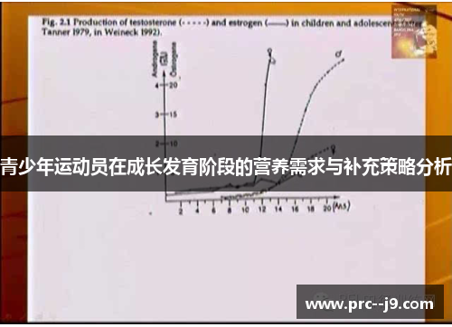 青少年运动员在成长发育阶段的营养需求与补充策略分析 青少年运动员在成长发育阶段的营养需求与补充策略分析