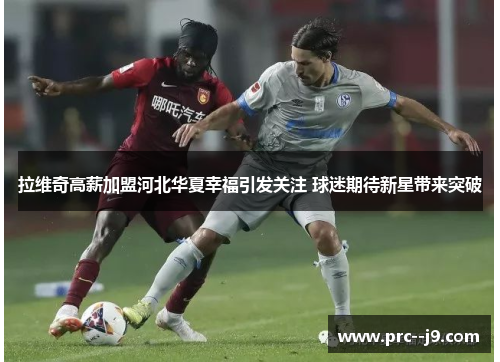 拉维奇高薪加盟河北华夏幸福引发关注 球迷期待新星带来突破